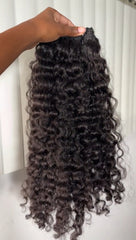 Burmese Curly Bundle Deals