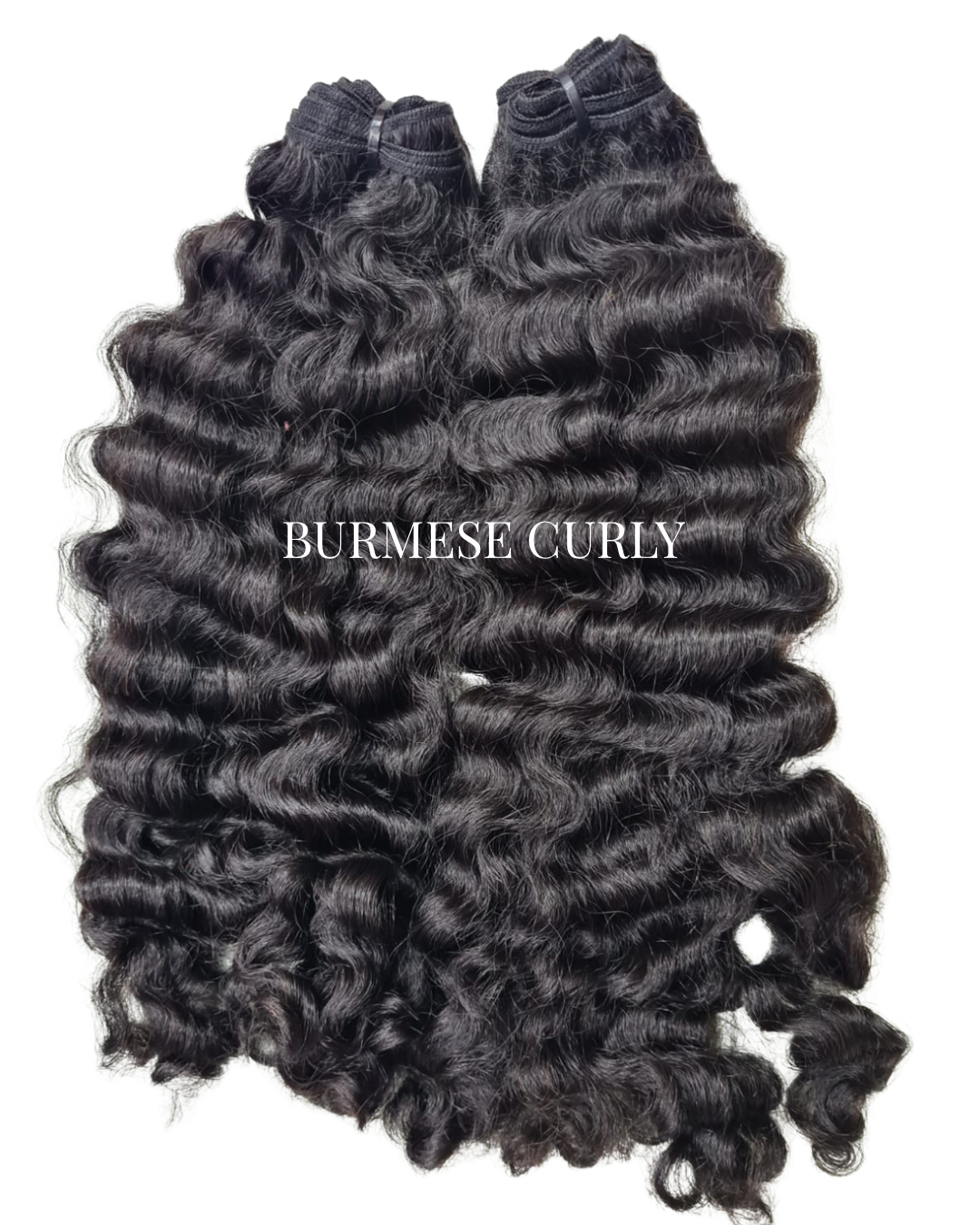 Burmese Curly Bundle Deals